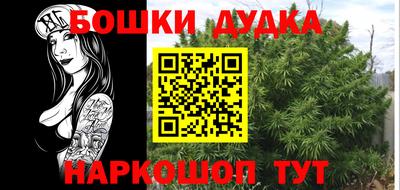 МДПВ Кингисепп