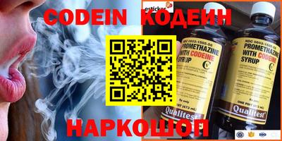 МДПВ Кингисепп