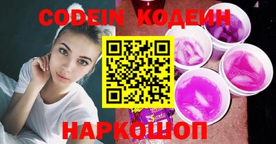 МДПВ Кингисепп