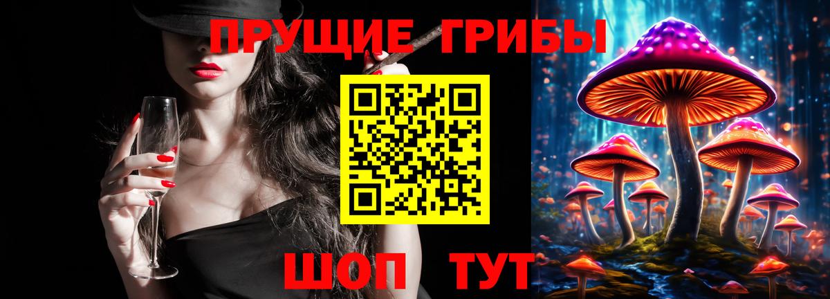 Псилоцибиновые грибы Psilocybe Красногорск